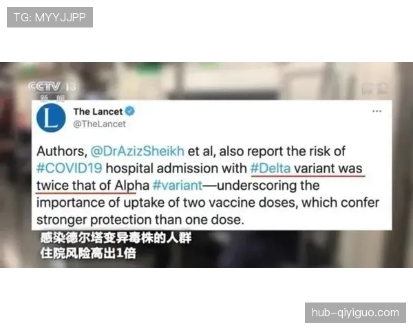 14秒重置规则是什么意思？比赛中如何判定标准